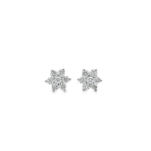 Aretes Roseta