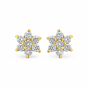 Aretes Roseta
