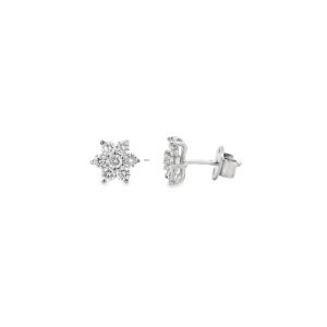 Aretes Roseta
