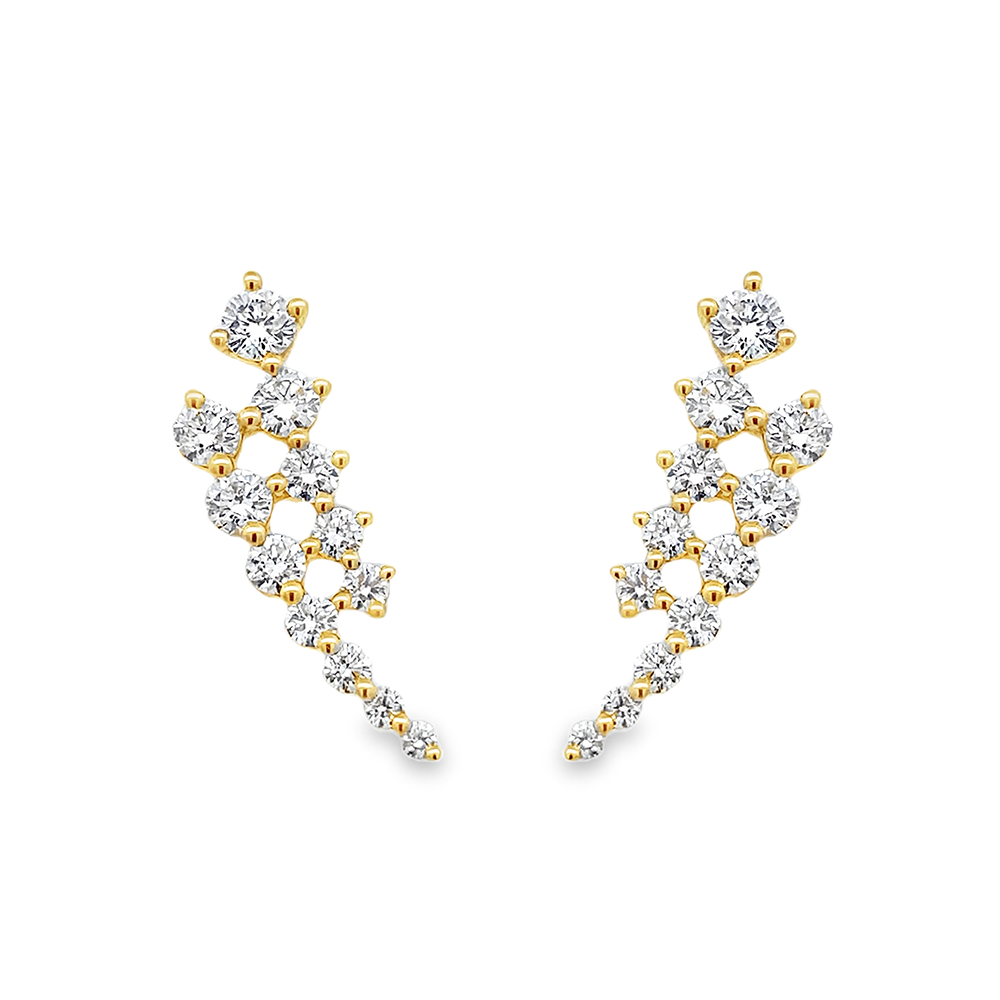 Imagen principal Aretes Brillantes