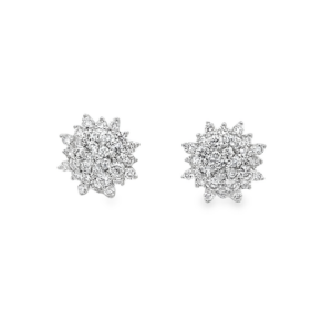 Aretes Brillantes