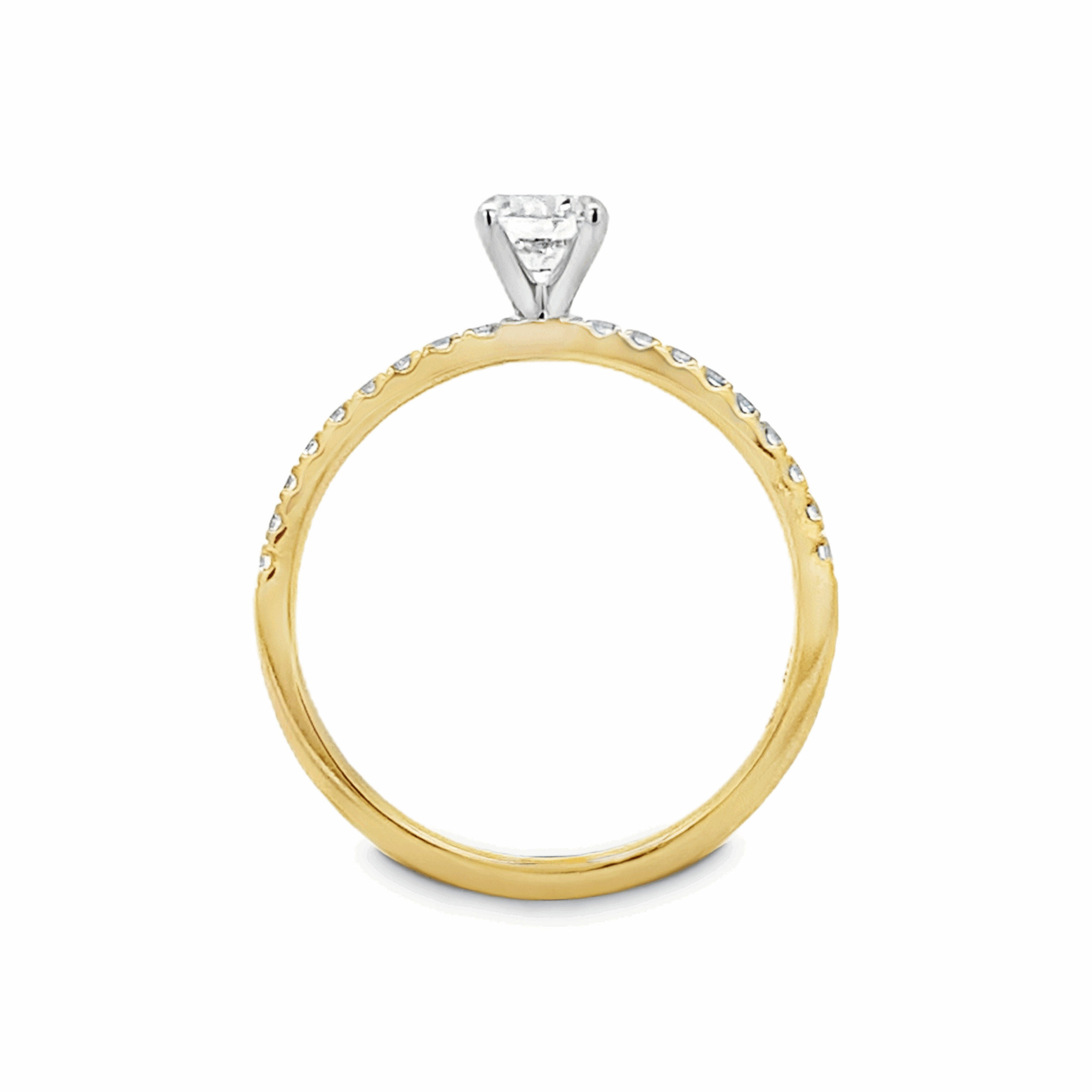 Slide Alba 42ct.