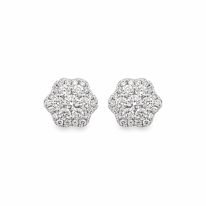 Aretes Hexágono