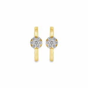 Argolla Círculo Brillante