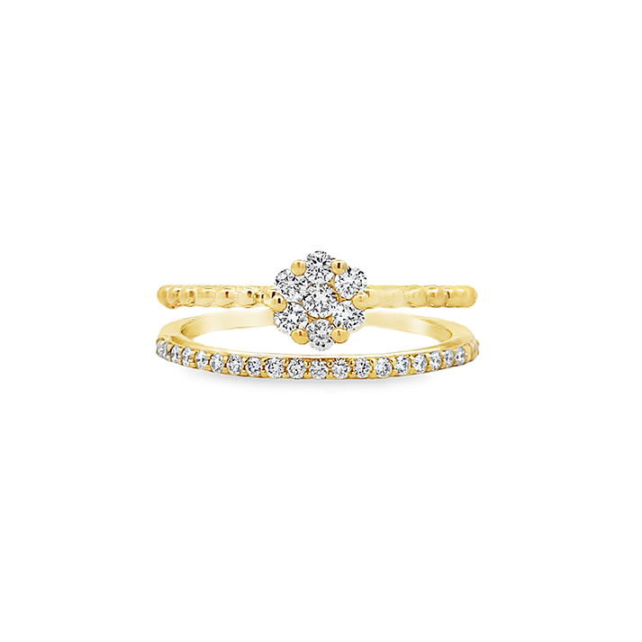 Imagen principal Anillo Doble Roseta