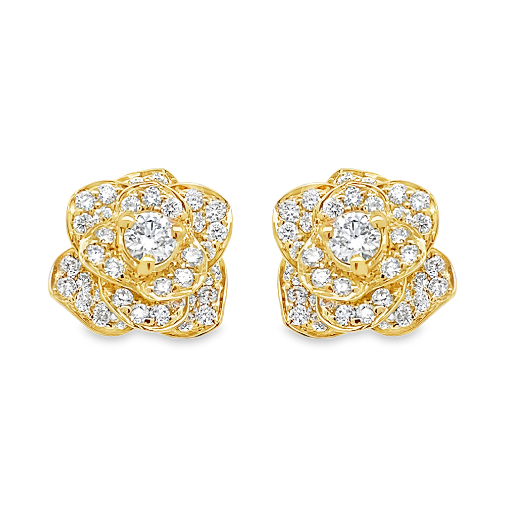 Imagen principal Aretes Rosa