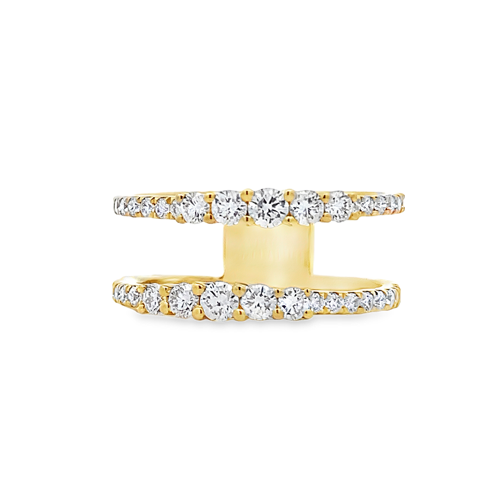 Imagen principal Anillo Doble