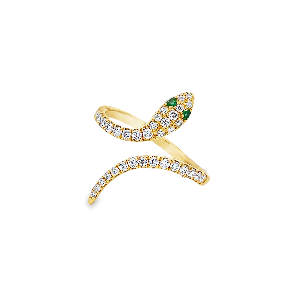 Imagen principal Anillo Serpiente