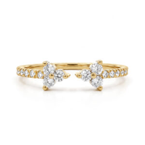 Anillo de Promesa