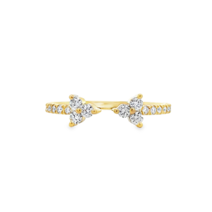 Anillo de Promesa