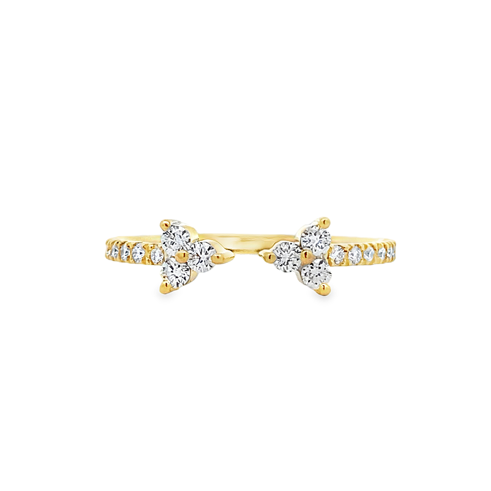 Imagen principal Anillo de Promesa