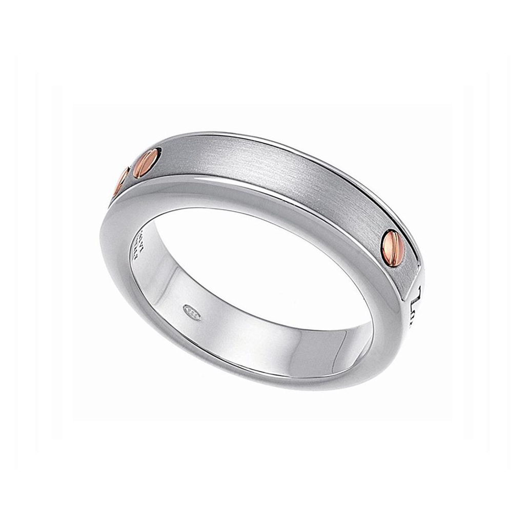 Imagen principal Anillo Satinado Zancan
