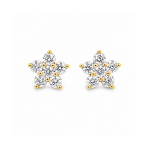 Aretes Roseta