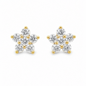 Aretes Roseta